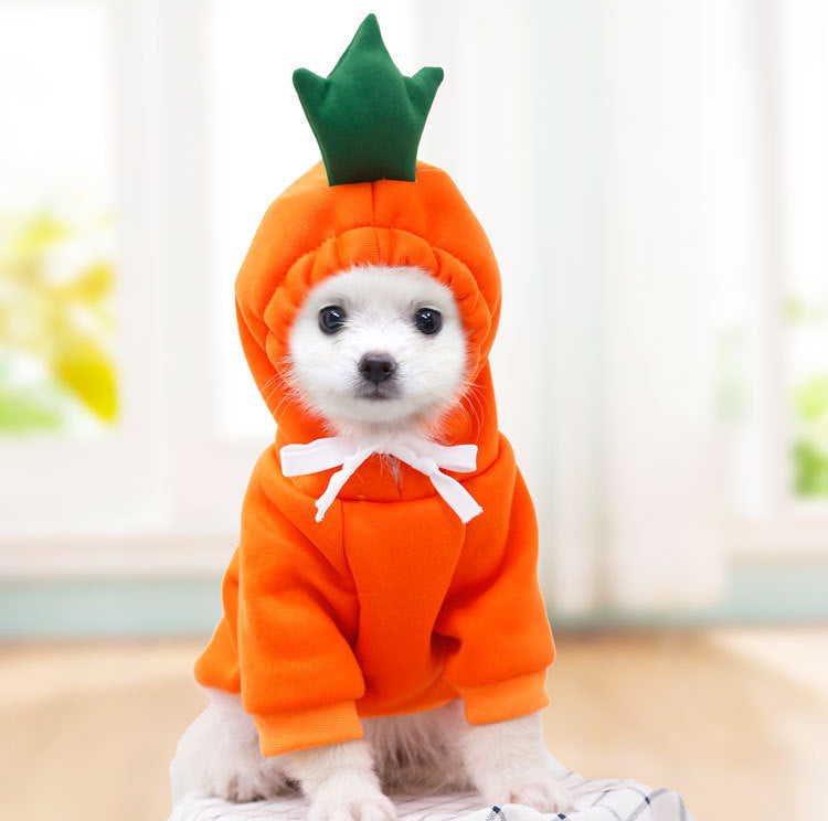 Cute Fruit Dog Hoodie – Warm Winter Fleece Clothes for Small Dogs