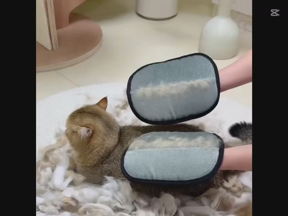 🐱 Pet Hair Removal Glove